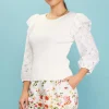 Eyelet Ruffle Sleeve Knit Top