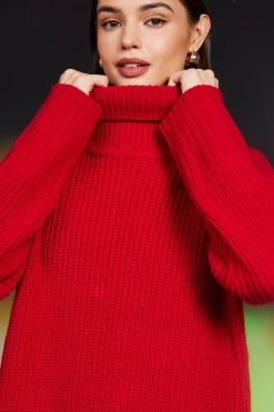 Irene Turtleneck Sweater