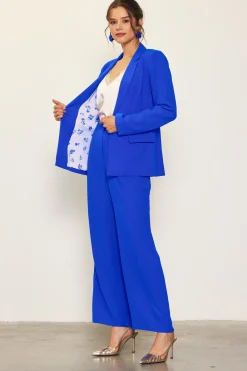 Pintuck Wide Leg Trousers